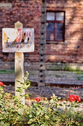 Auschwitz - 1998 - 8 di 33