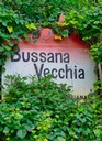 Bussana Vecchia - 2014 - 3 di 18