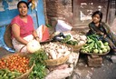 India, Nepal e Tibet - 1996 - 25 di 152