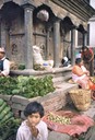 India, Nepal e Tibet - 1996 - 22 di 152