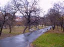 Praga d'inverno - 2003 - 16 di 57